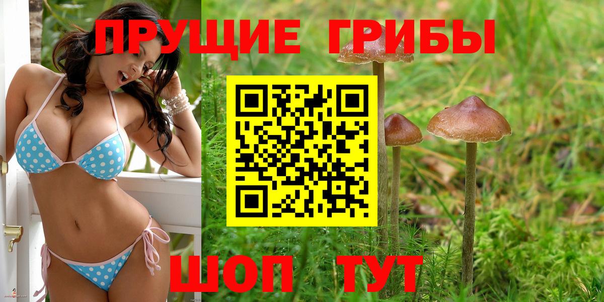 Галлюциногенные грибы мицелий Южноуральск