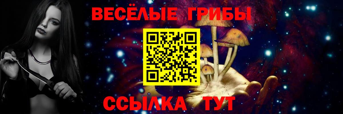 Псилоцибиновые грибы Psilocybine cubensis  Галлюциногенные грибы Psilocybine cubensis  Вход с VPN  Южноуральск 